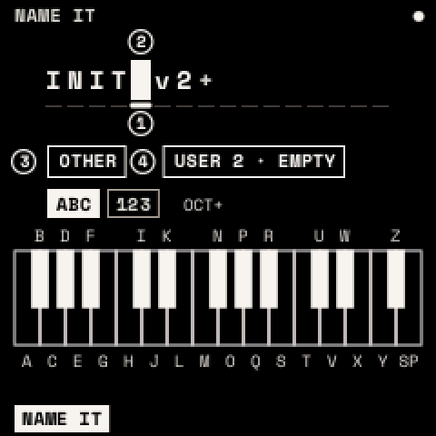 NAME IT